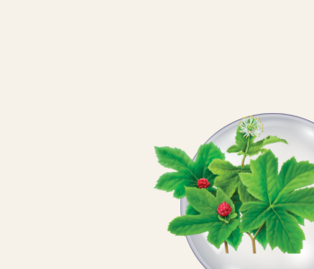 Goldenseal