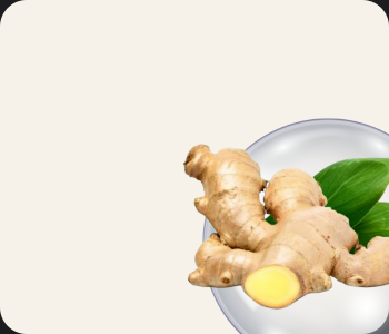 Ginger