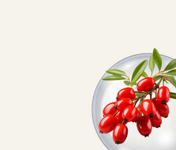 Berberine