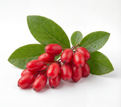 Ingredient Image